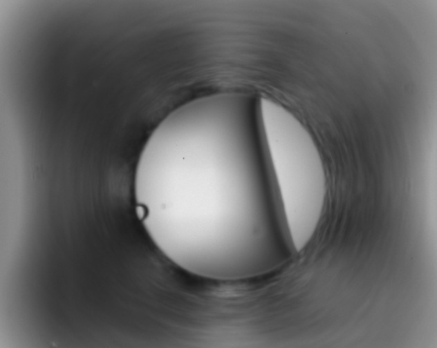 X0000092300664200709140959