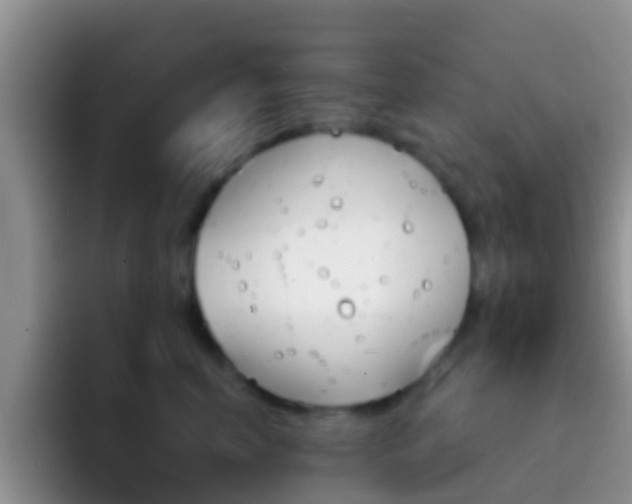 X0000092300666200709140959