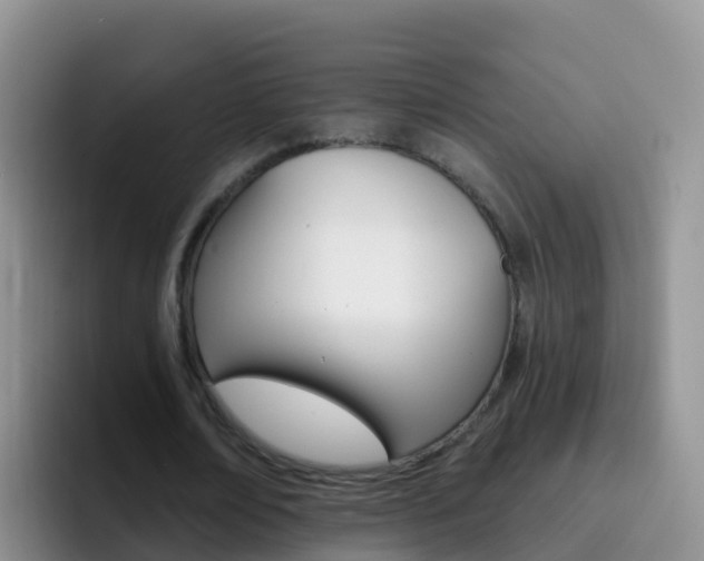 X0000092300674200709140959