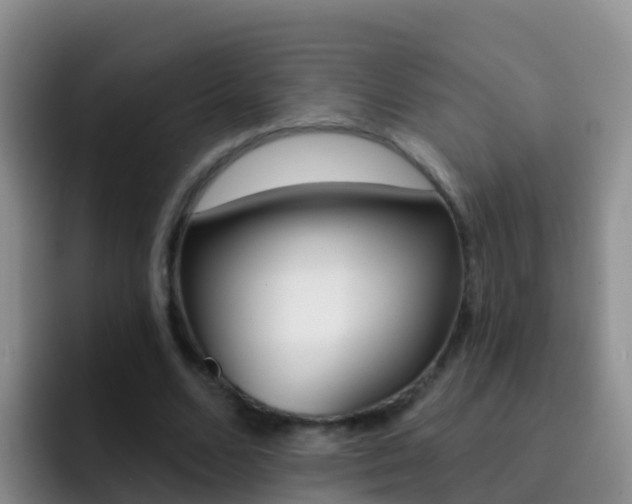 X0000092300680200709140959