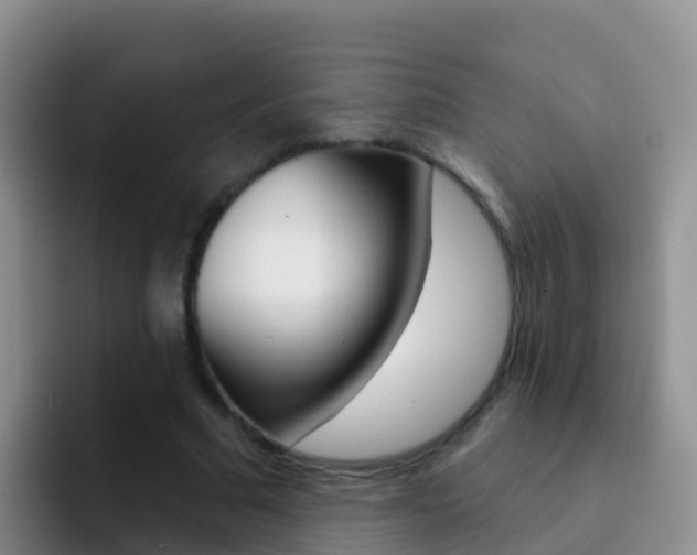 X0000092300681200709140959