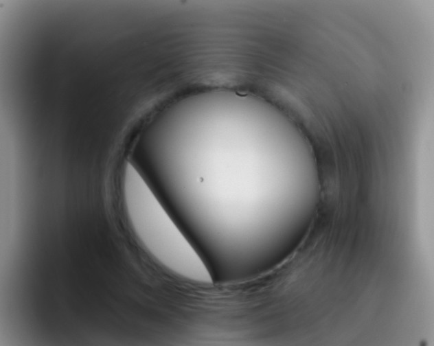 X0000092300688200709140959
