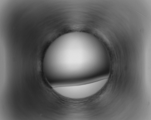 X0000092300689200709140959