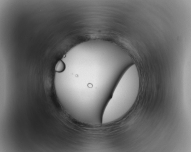 X0000092300691200709140959