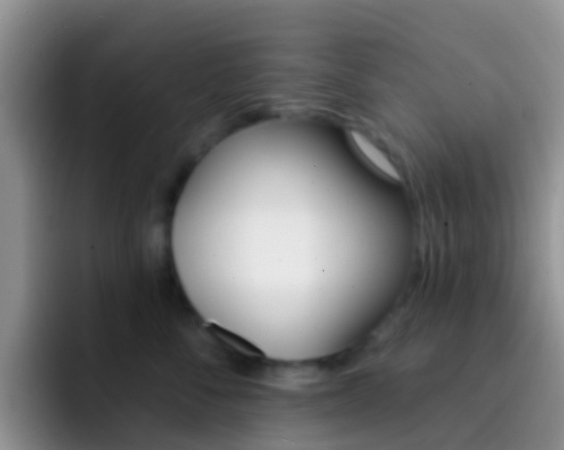 X0000092300716200709140958