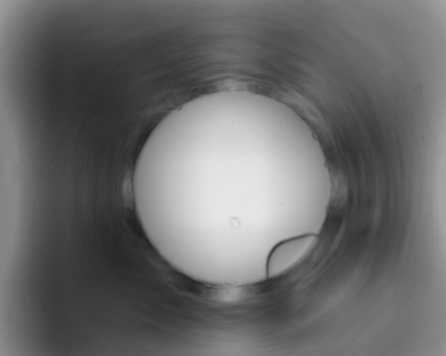 X0000092300717200709140958