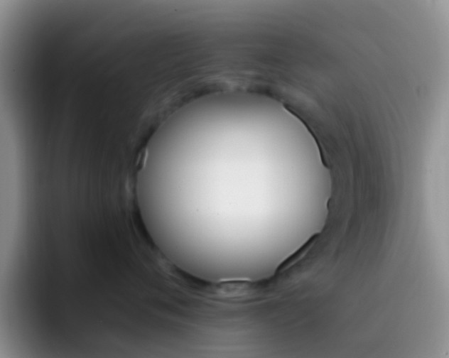 X0000092300720200709140958