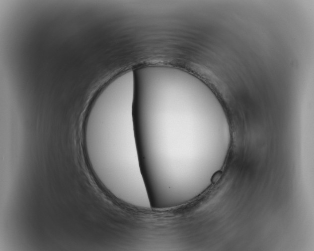 X0000092300721200709140958