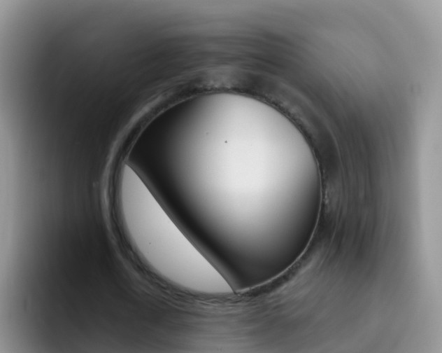 X0000092300722200709140958