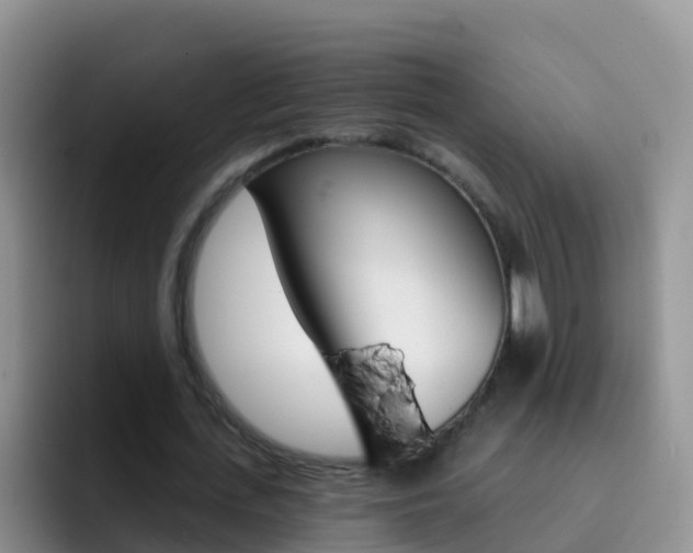 X0000092300723200709140958
