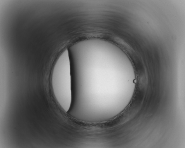 X0000092300729200709140958