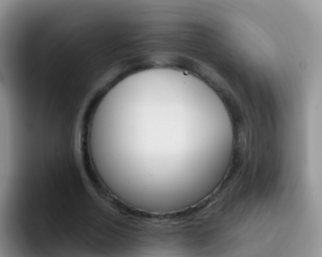 X0000092300730200709140958