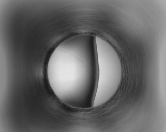 X0000092300732200709140958