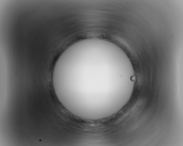 X0000092300737200709140958