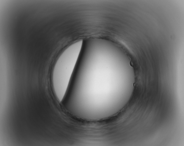 X0000092300738200709140958