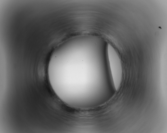 X0000092300740200709140958