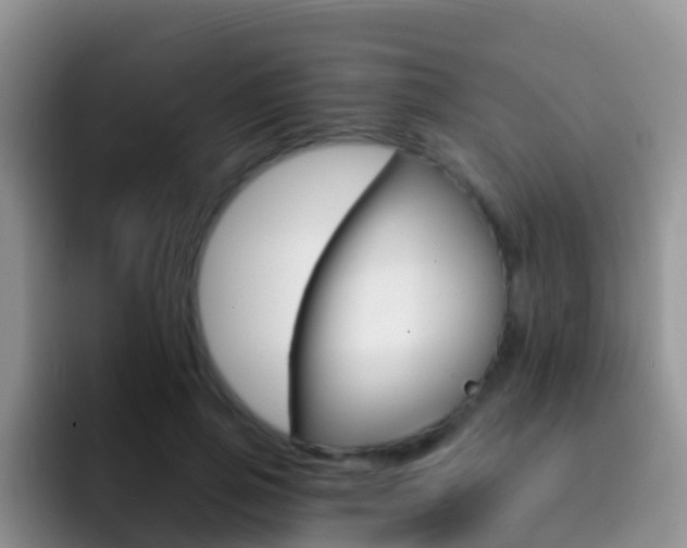 X0000092300741200709140958