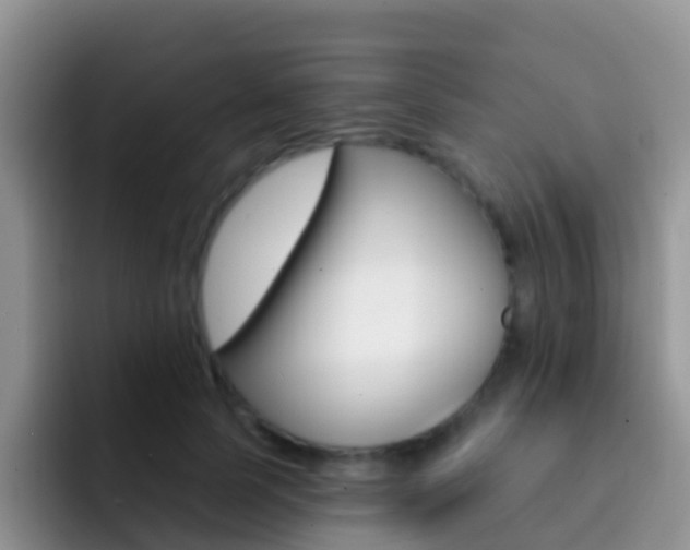 X0000092300745200709140958