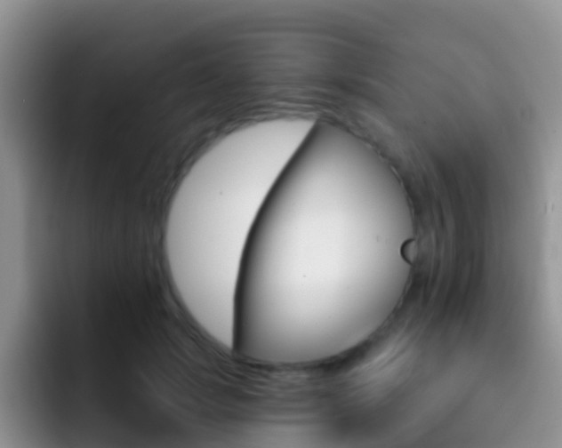 X0000092300749200709140958