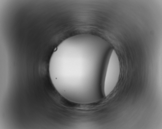 X0000092300758200709140958