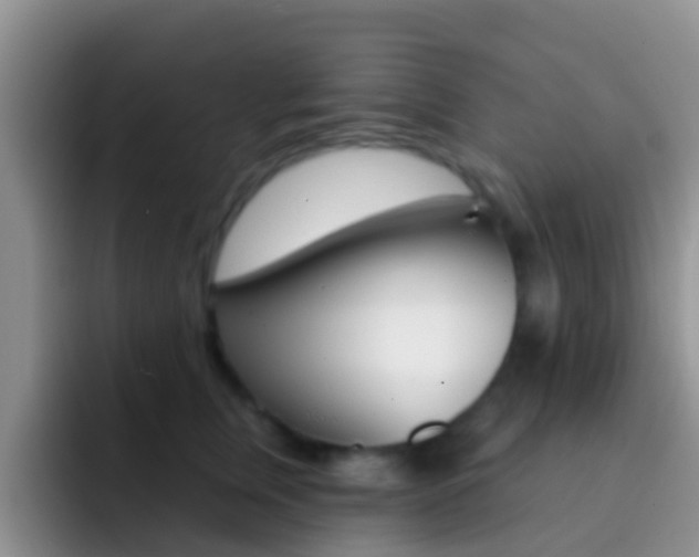 X0000092300759200709140958
