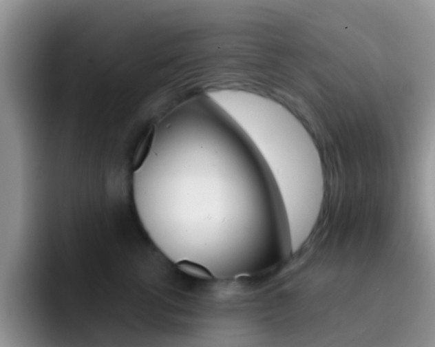 X0000092300762200709140958