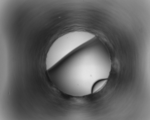 X0000092300763200709140958