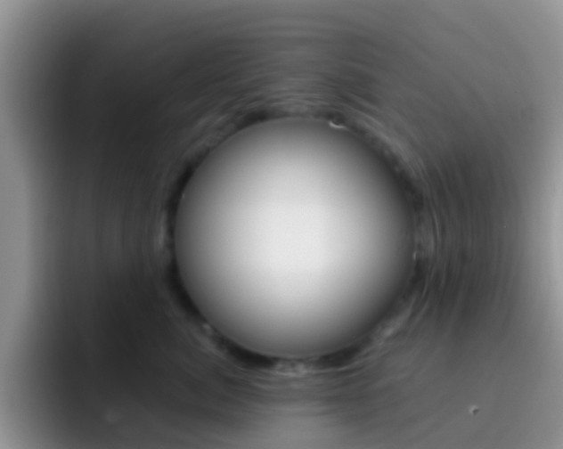 X0000092300764200709140958