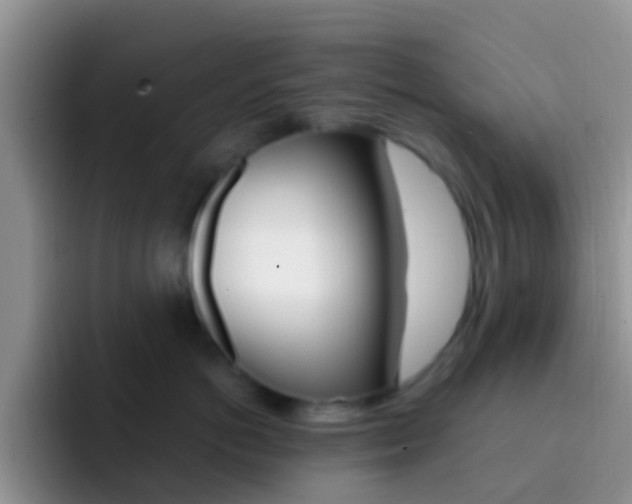X0000092300766200709140958