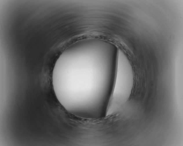 X0000092300773200709140958