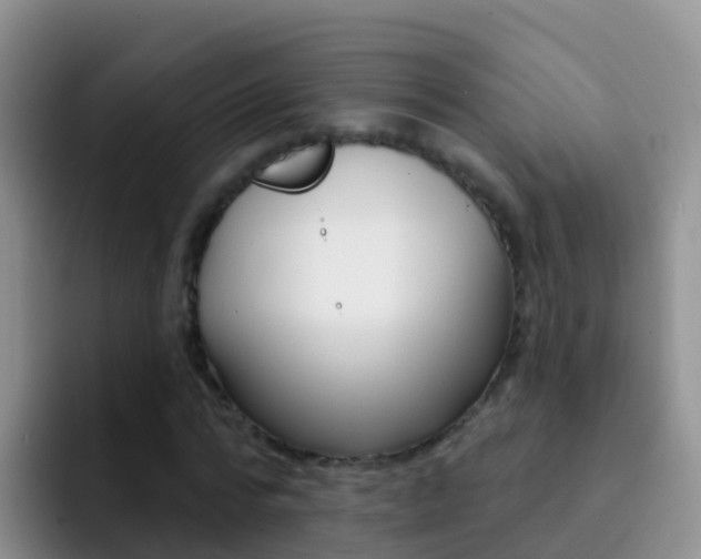 X0000092300776200709140958