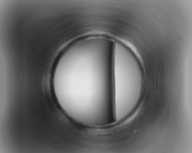 X0000092300783200709140958