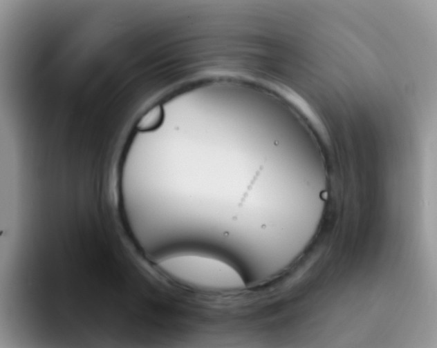 X0000092300791200709140957