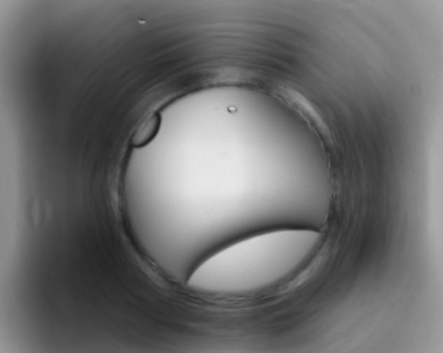 X0000092300794200709140957