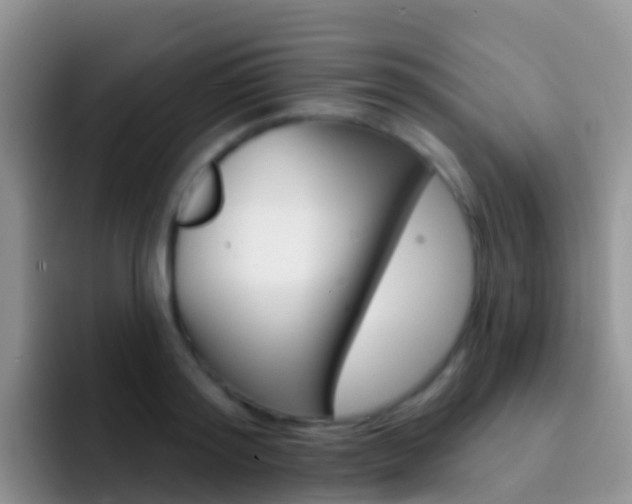 X0000092300796200709140957