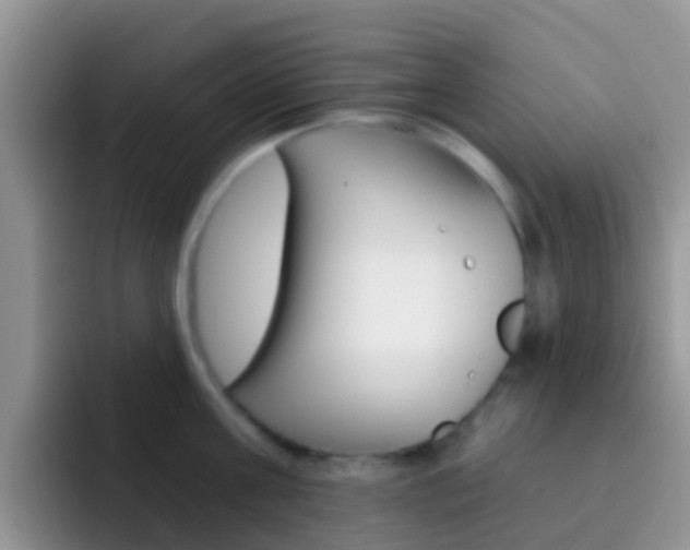 X0000092300811200709140957