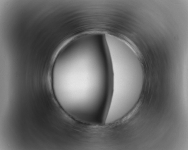 X0000092300812200709140957