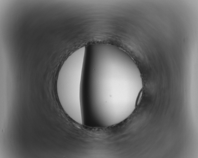 X0000092300817200709140957