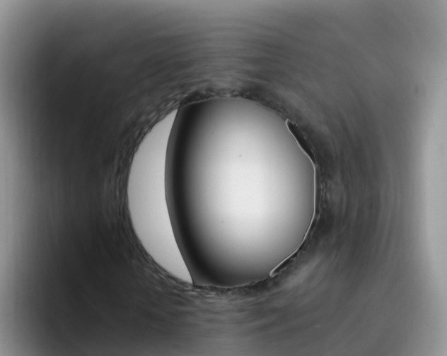 X0000092300818200709140957