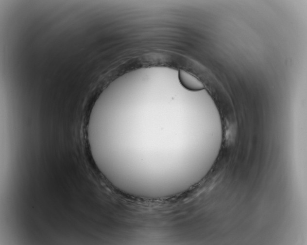 X0000092300819200709140957
