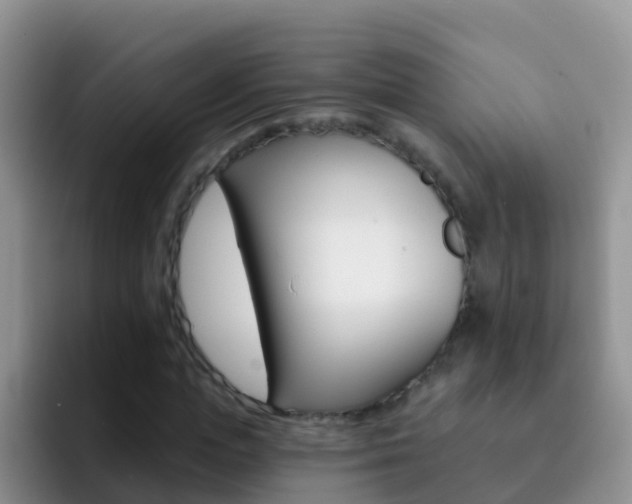 X0000092300823200709140957