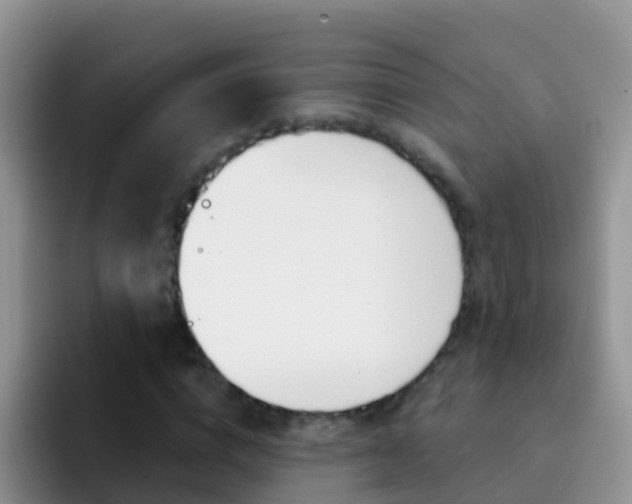 X0000092300824200709140957