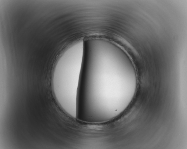 X0000092300825200709140957