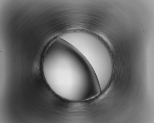 X0000092300826200709140957