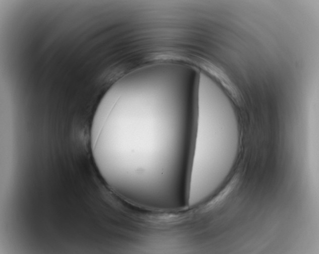 X0000092300841200709140957