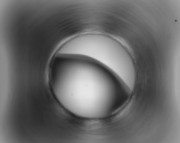 X0000092300846200709140957