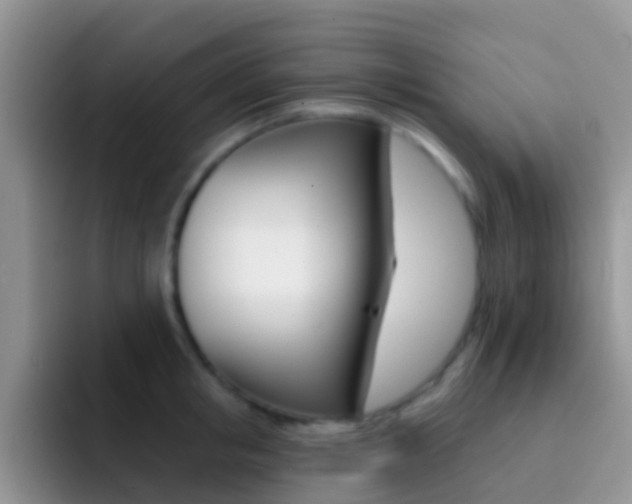 X0000092300853200709140957