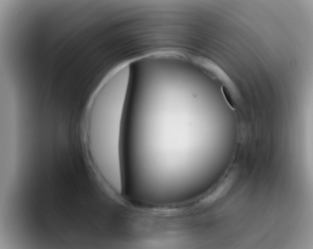 X0000092300860200709140957