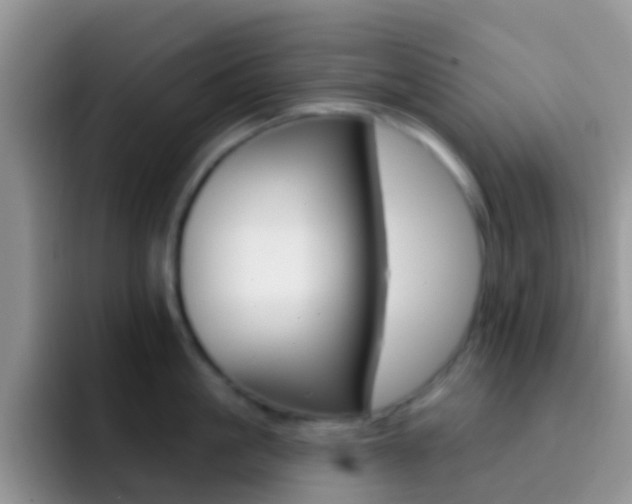 X0000092300861200709140957
