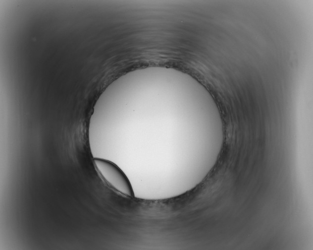 X0000092300866200709140957